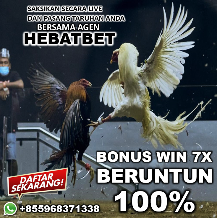 hebatbet01's tweet photo. #sabungayam #tajenbali #sv388 #club388 #sabungayamsv388 #sabungayamclub388 #sabungayamdigmaan #sv388 #club388 #sabungayamonline #hebatbet https://t.co/u4eVJHUXou