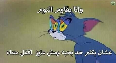 كل يوم صورة معبرة (@memesoficiial) on Twitter photo 