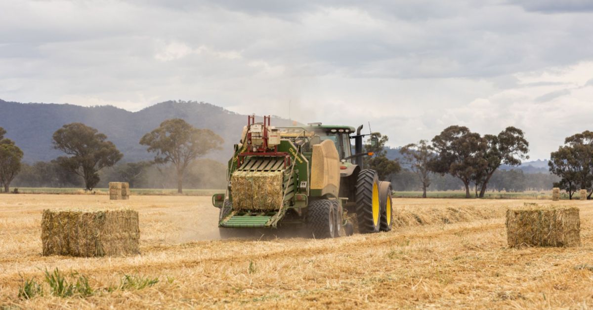 AgriFuturesAU's tweet photo. Hay, do you love fodder? Don’t miss Australia’s key #ausfodder event! AFIA’s 2022 National Fodder Conference - a gathering to talk all things fodder, rural communities, innovation, customer perspectives and more. For more information visit 👉 https://t.co/WQt7QnIt4N https://t.co/ivAYlytDGf