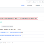 Photo by IgniteScan | Block explorer for IgniteChain🔥 (@IgniteScan)