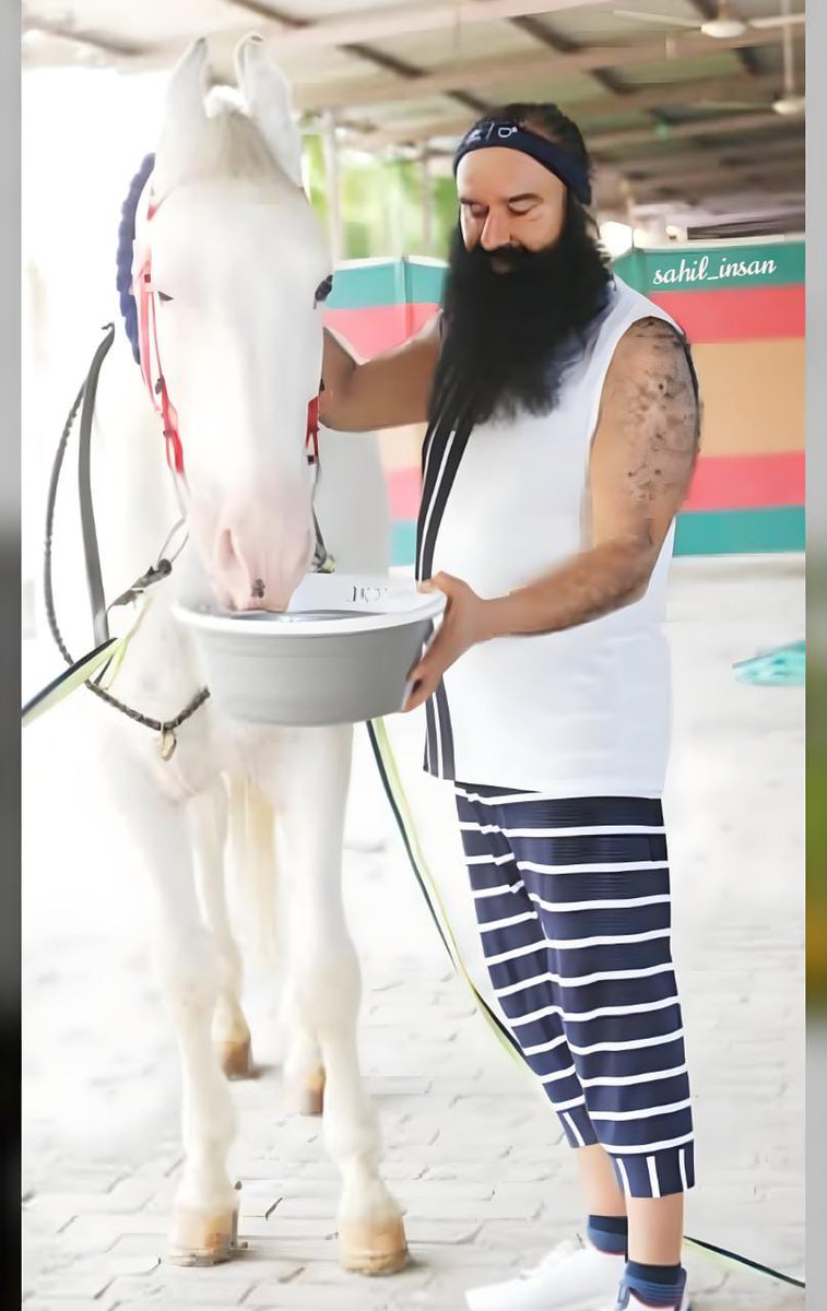 Satinder__Insan's tweet photo. ਖਿੜ ਗਈ ਰੂਹ ਫੁੱਲਾਂ ਵਾਂਗੂੰ ❤️
ਸਤਿਗੁਰ ਦੇ ਦਰਸ਼ਨ ਕਰਕੇ 😍🤲 https://t.co/pCTrzyjuwg