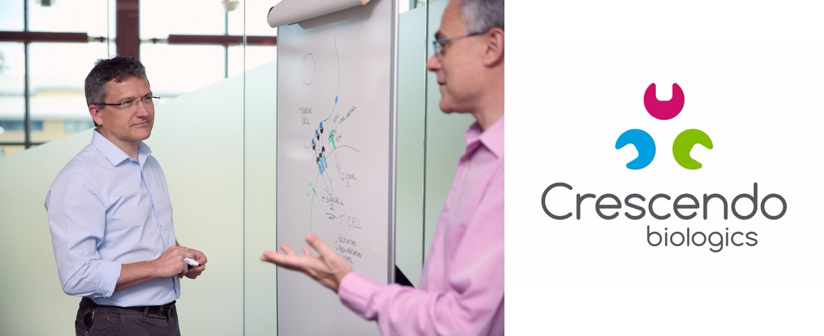 HUMABODY's tweet photo. We are pleased to announce the selection and nomination of the second wholly-owned clinical candidate from our proprietary T cell enhancing CD137 franchise. CB693 is a half-life extended CD137 x MSLN Humabody bispecific. 
https://t.co/e5bua2NOPd https://t.co/uSclZ9QflY
