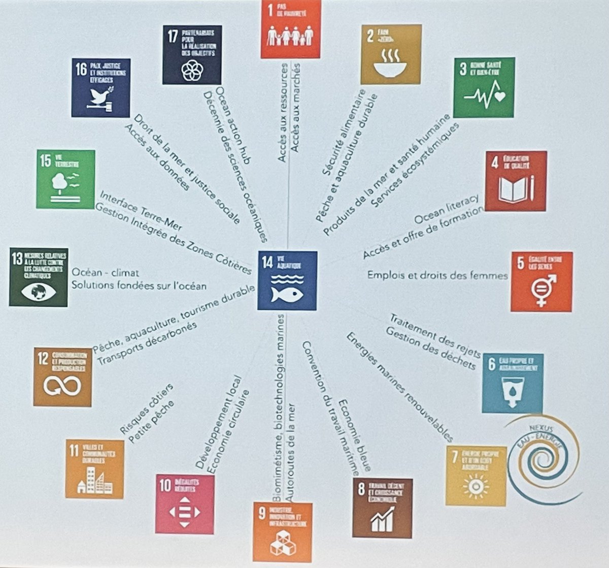 Autour de l’#odd14, la roue des ODD montre que tout est lié, tout est connecté…le cœur de l’action de @OceansConnectes  
@ocean_climate @UNOceanDecade @Respect_Ocean @Ifremer_fr @ird_fr @Sorbonne_Univ_ @IMEV_mer @CNES @MercatorOcean @Oceanopolis_