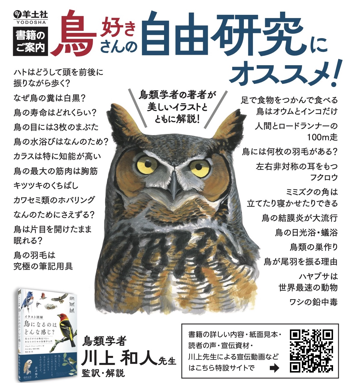 鳥になるのはどんな感じ 書籍の中身はこちらから 自由研究にもってこい T Co Leqyicgptb T Co Kwp6shkl0q Twitter