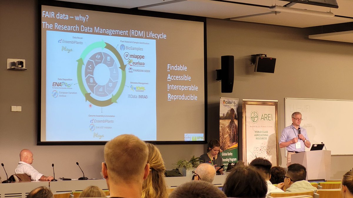 Great and very important talk by 'Mr. DNA sequence himself' @Nils__Stein on barley genetic databases and the importance of FAIR data use. Let's share data and resources and avoid reinventing the wheel over and over. #ibgs2022 #ibgs13 #ibgs #barley #geneticresources