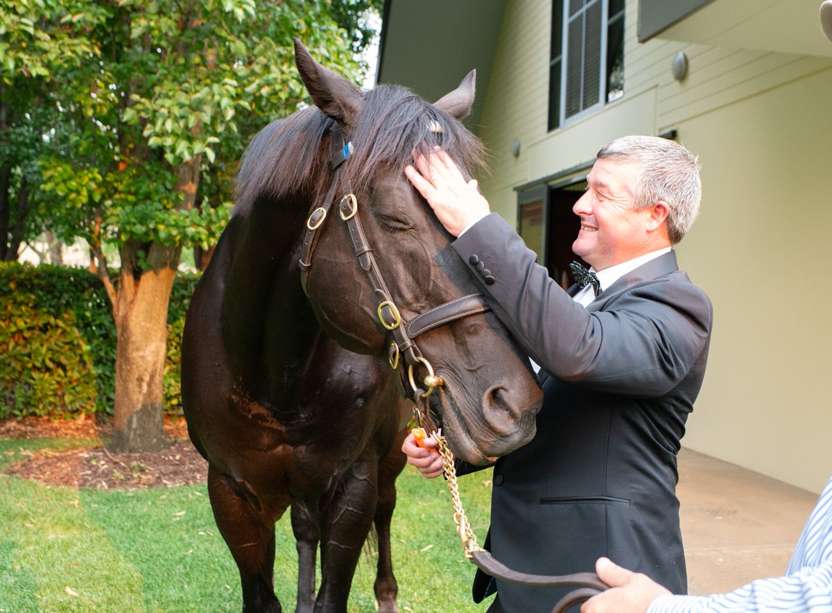 DarleyAus's tweet photo. It’s #LoveTheHorse week in 🇦🇺

Let’s kick off with some #Lonhro love 🖤

The thoroughbred; why we do what we do #LoveTheHorse https://t.co/83VxNaulwh