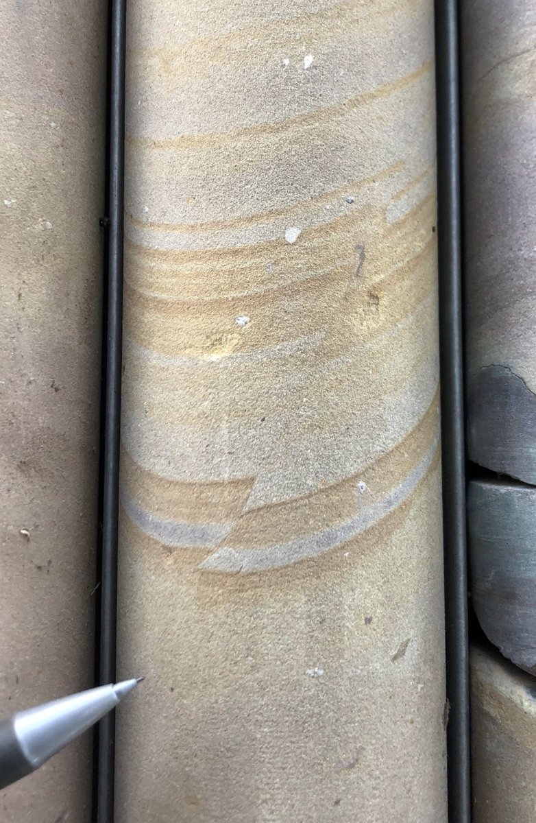 DMtelela's tweet image. Beauty