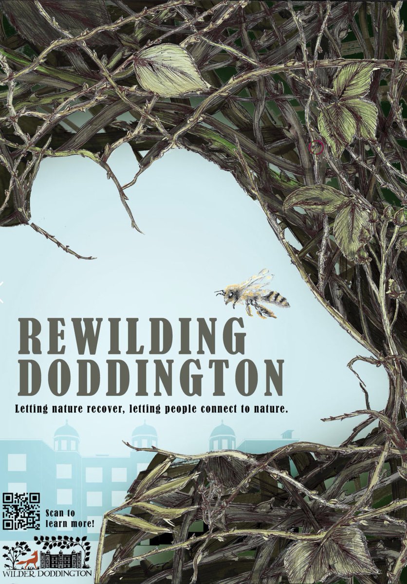 Lincoln Festival of Creativity 2022 tweet media