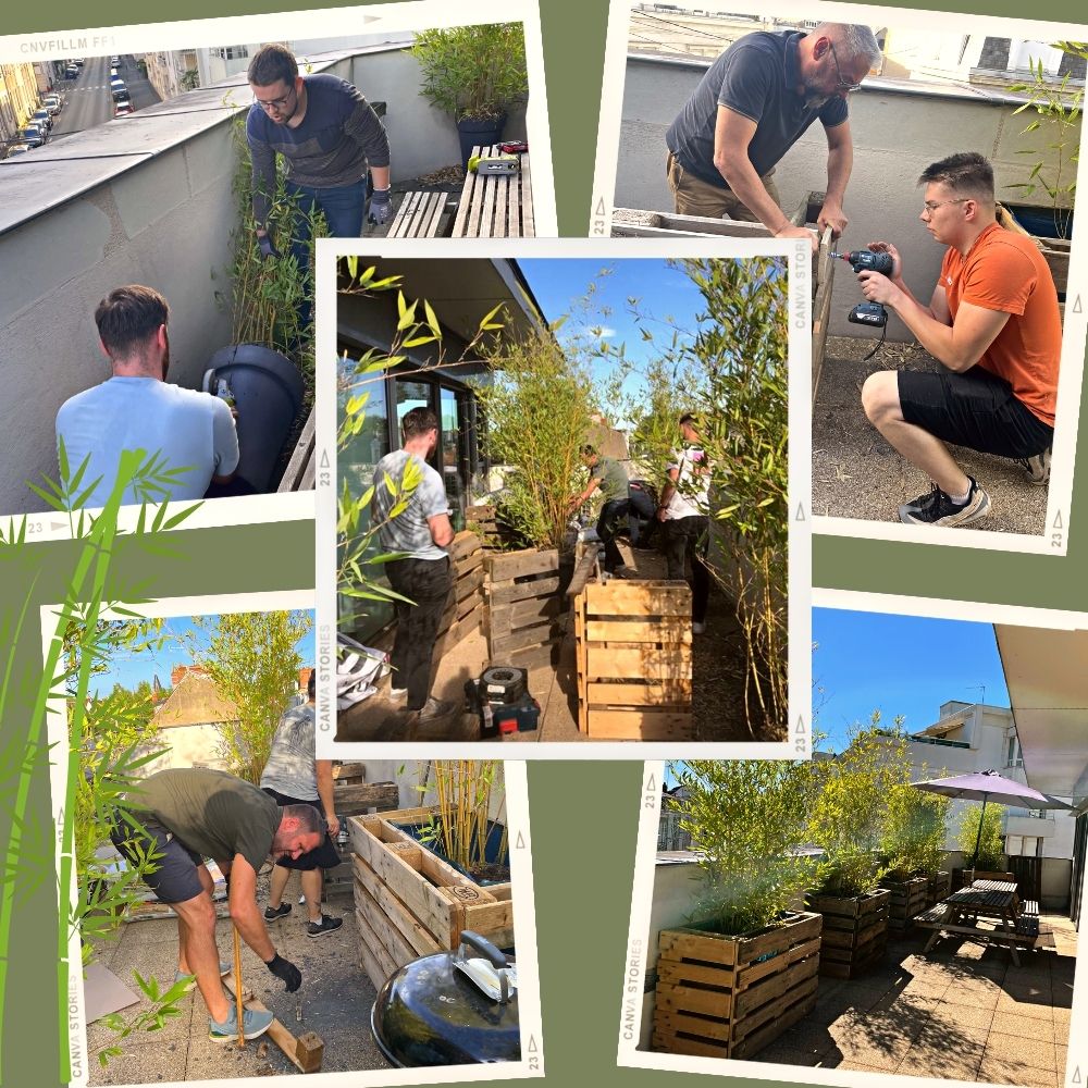 La semaine dernière c'était atelier #teambuilding bricolage dans nos bureaux d'Angers 🪚 Au programme ? Construction de bac en palette pour nos bambous 🎋 On enfile les gants, on sort les perceuses et on laisse place à la réalisation ! 💪 Alors, que pensez-vous du résultat ?