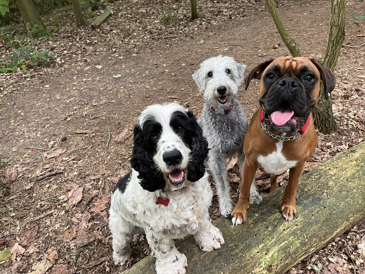 Out bright and early with the morning crew.