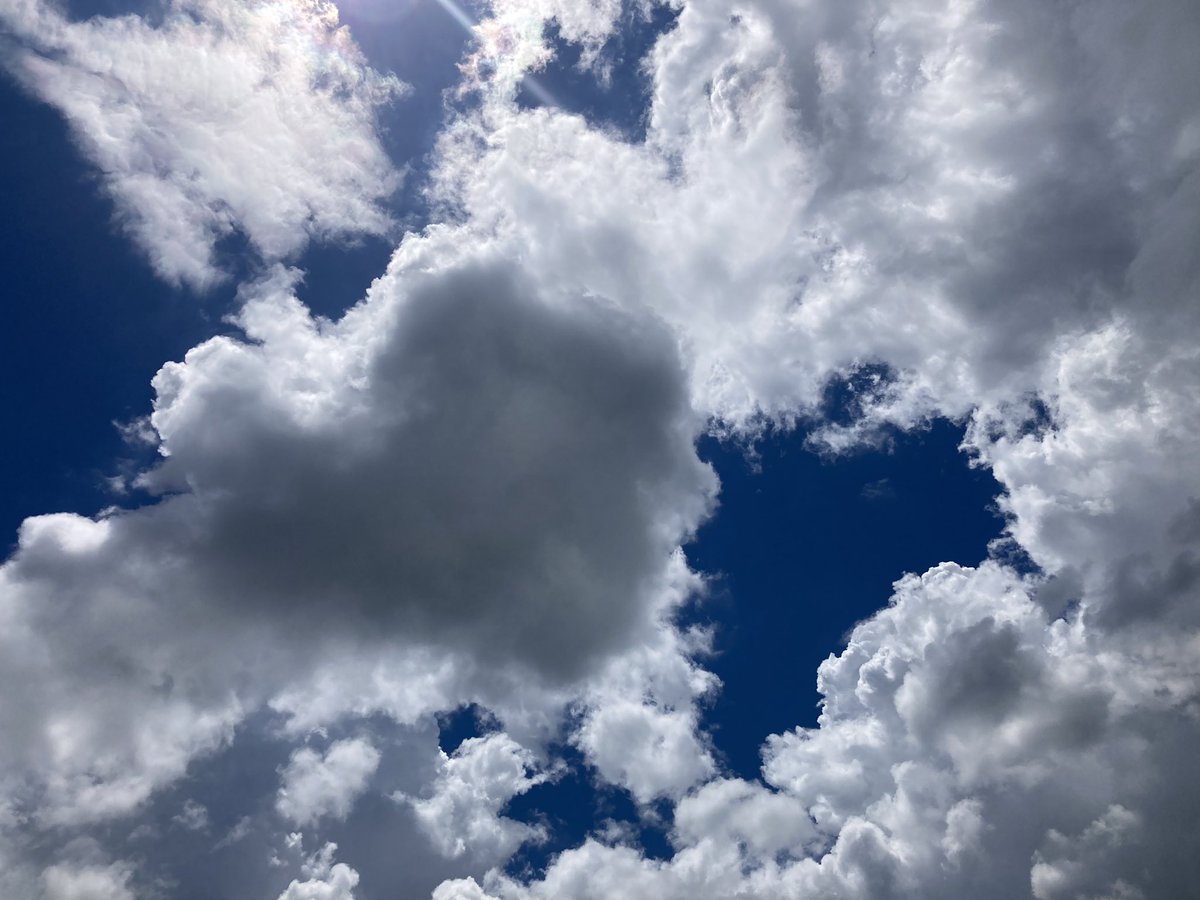 mizzmori1579's tweet photo. 恐いくらいの、けだるさ。 https://t.co/FLNafByqJl