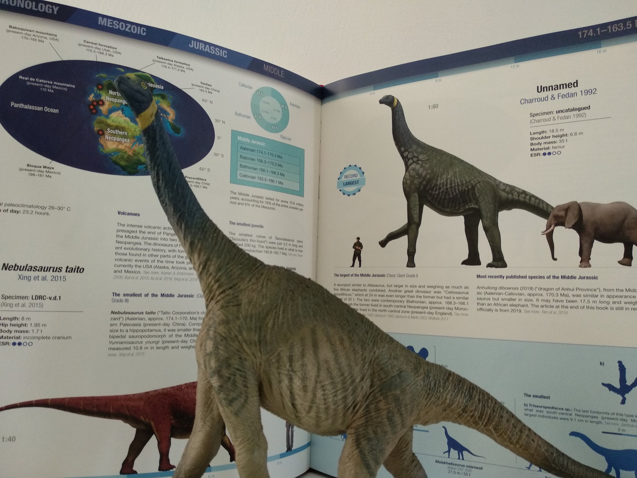 Sauropod Dinosaur Eofauna Model Brachiosaurus Kin Atlasaurus 