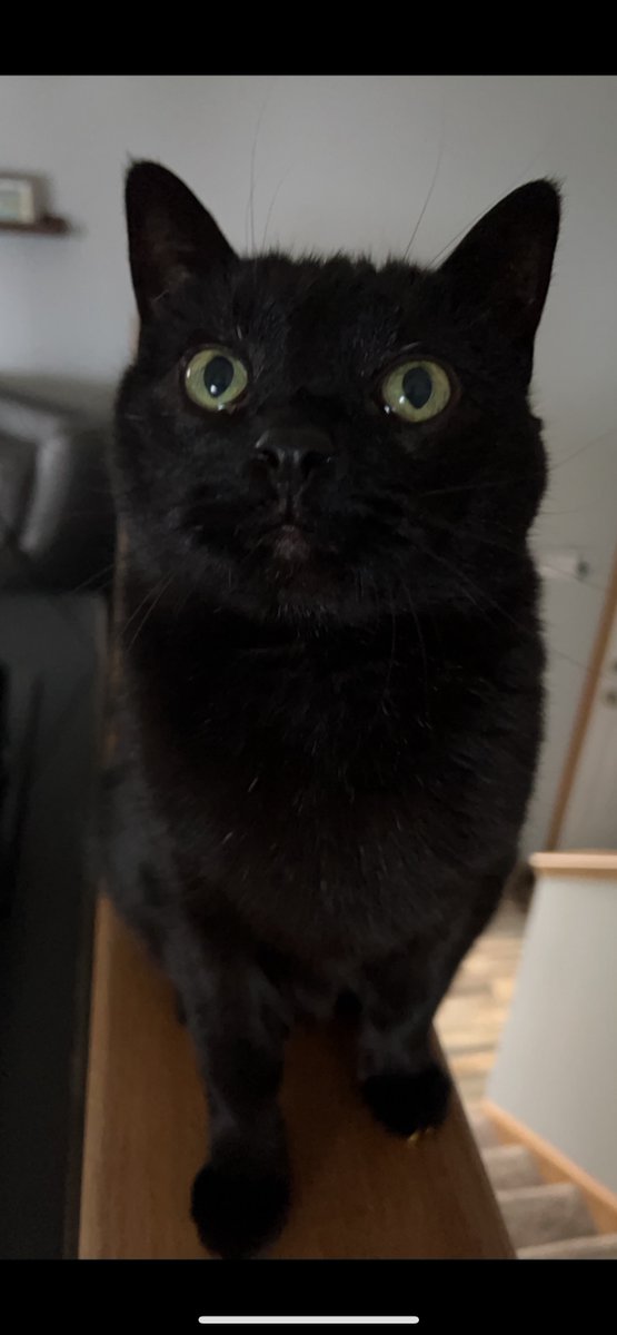 Michael Bruner tweet media