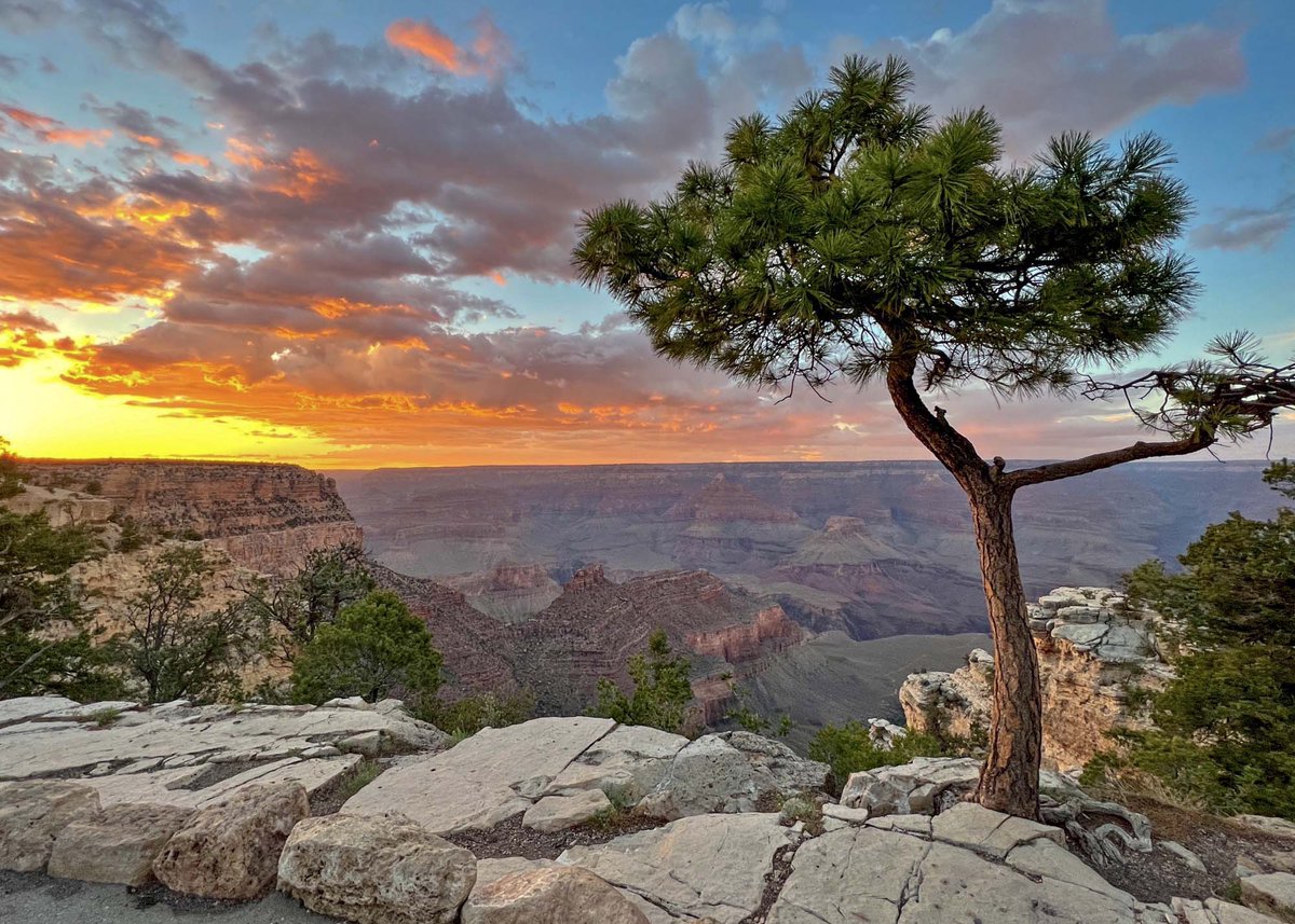 Grand Canyon National Park Jobs - open to the public this week: Archaeologist, Wildland Firefighter, Helitack Operations, Civil Engineer: usajobs.gov/Search/?l=Gran…