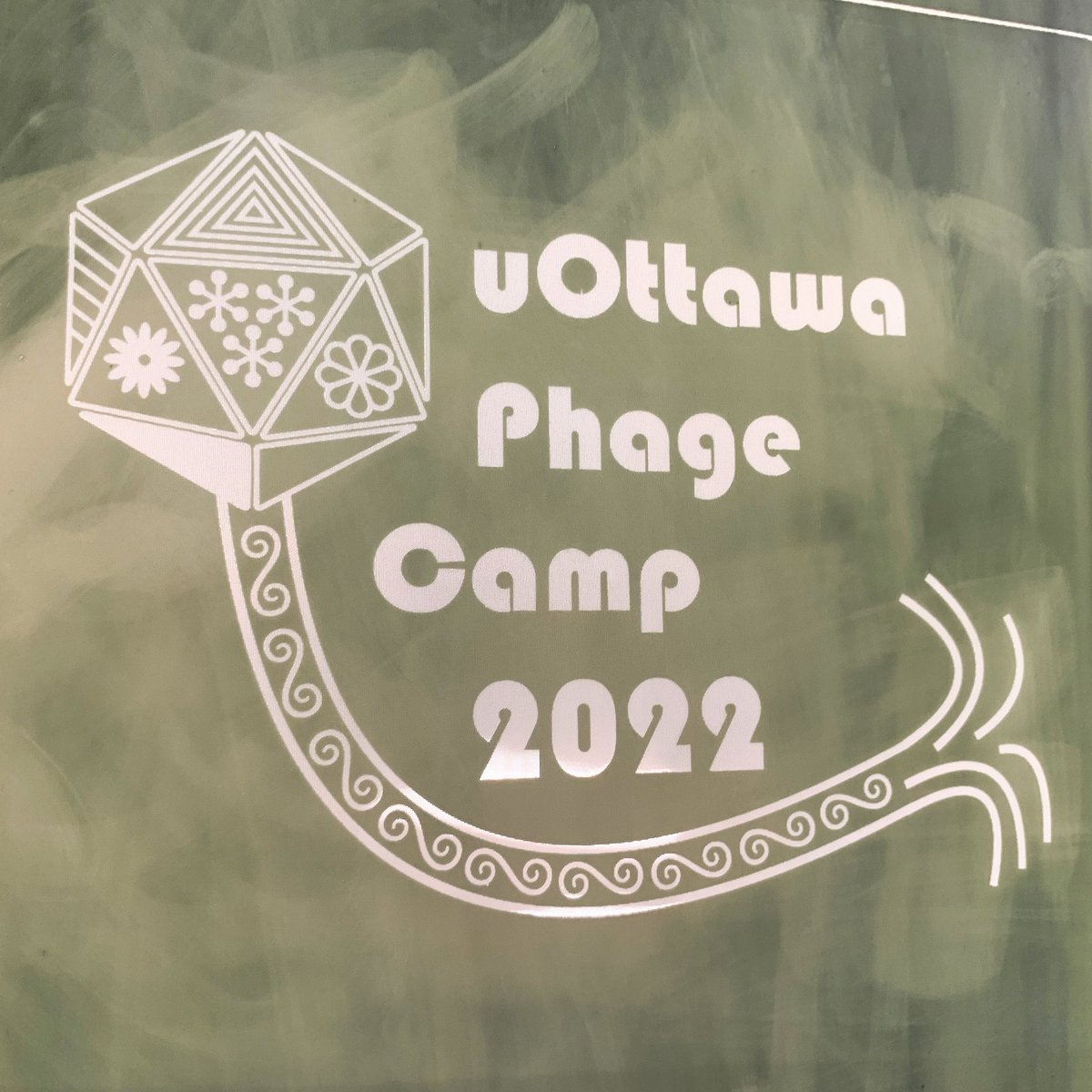 Screen ready for printing! What is camp without a t-shirt?
