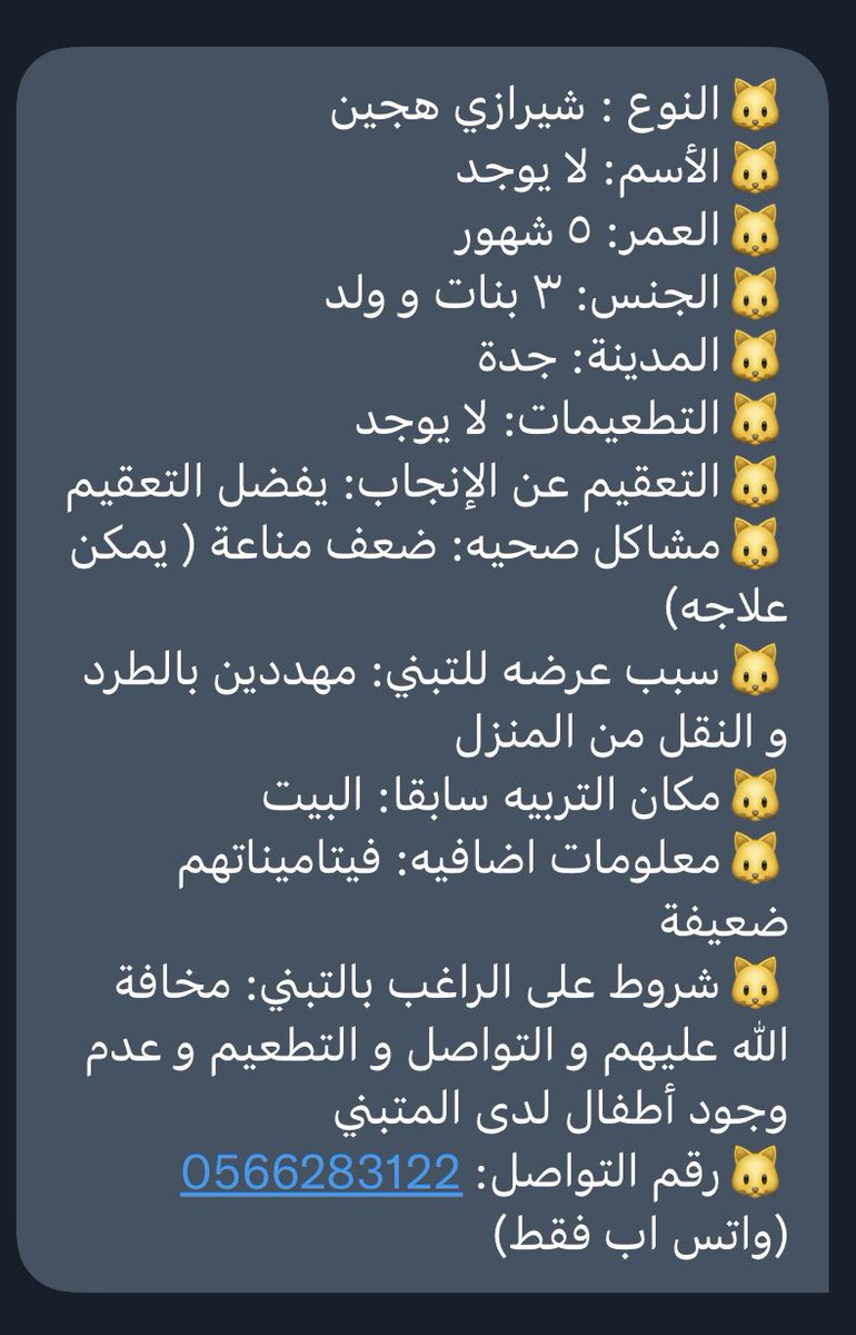 Cat people 🐈 tweet media