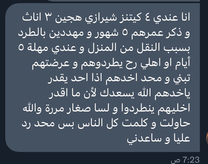 Cat people 🐈 tweet media