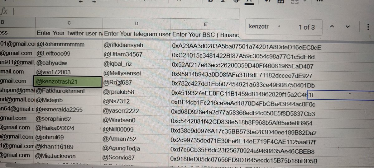 safe cat tweet media