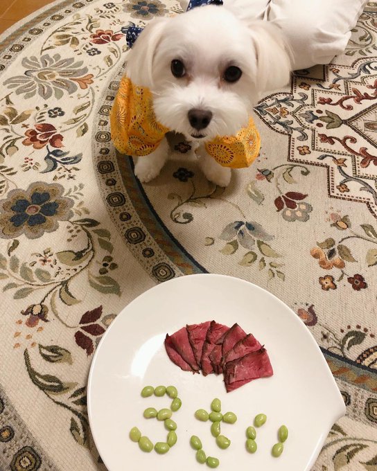 3æ³ã ã£ãŠ!ããã§ãšãã©ã