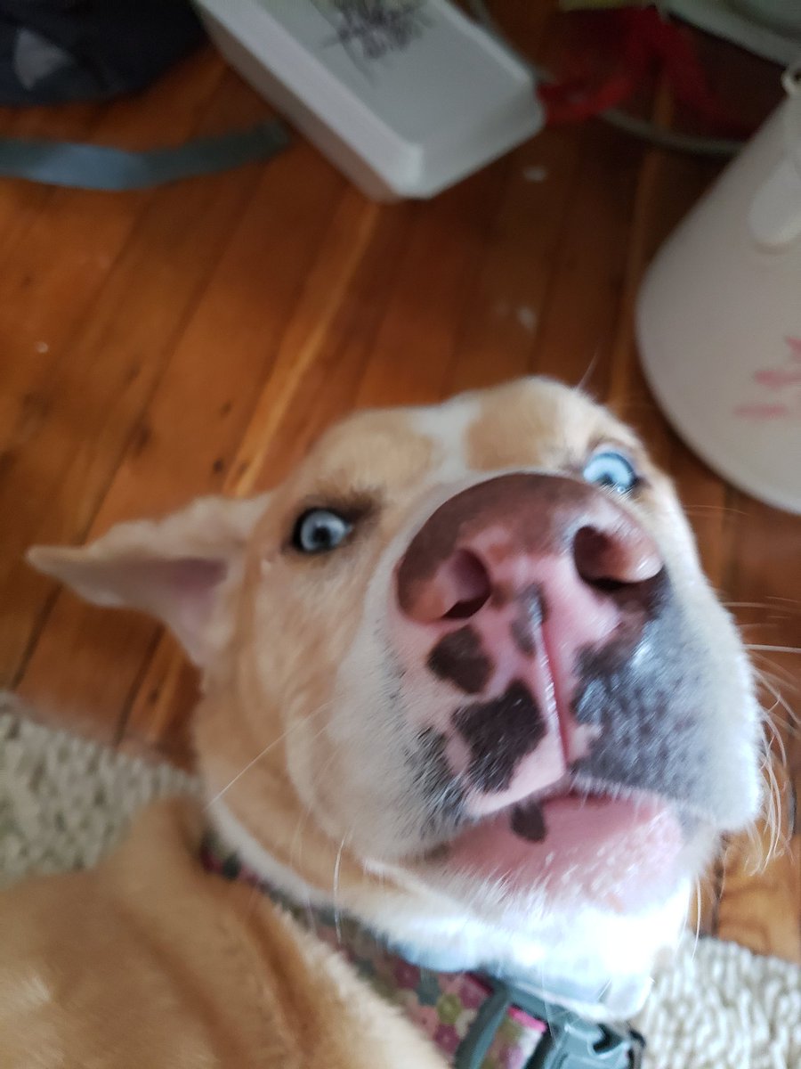 Ellena Popova, MD tweet media