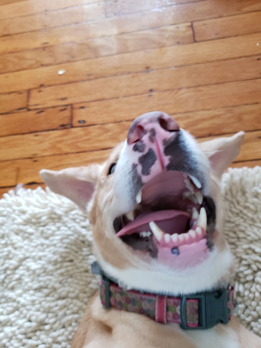 Ellena Popova, MD tweet media