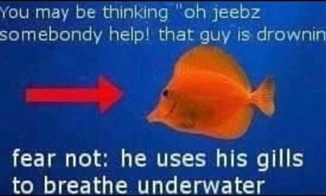 audioexcursion9's tweet image. 