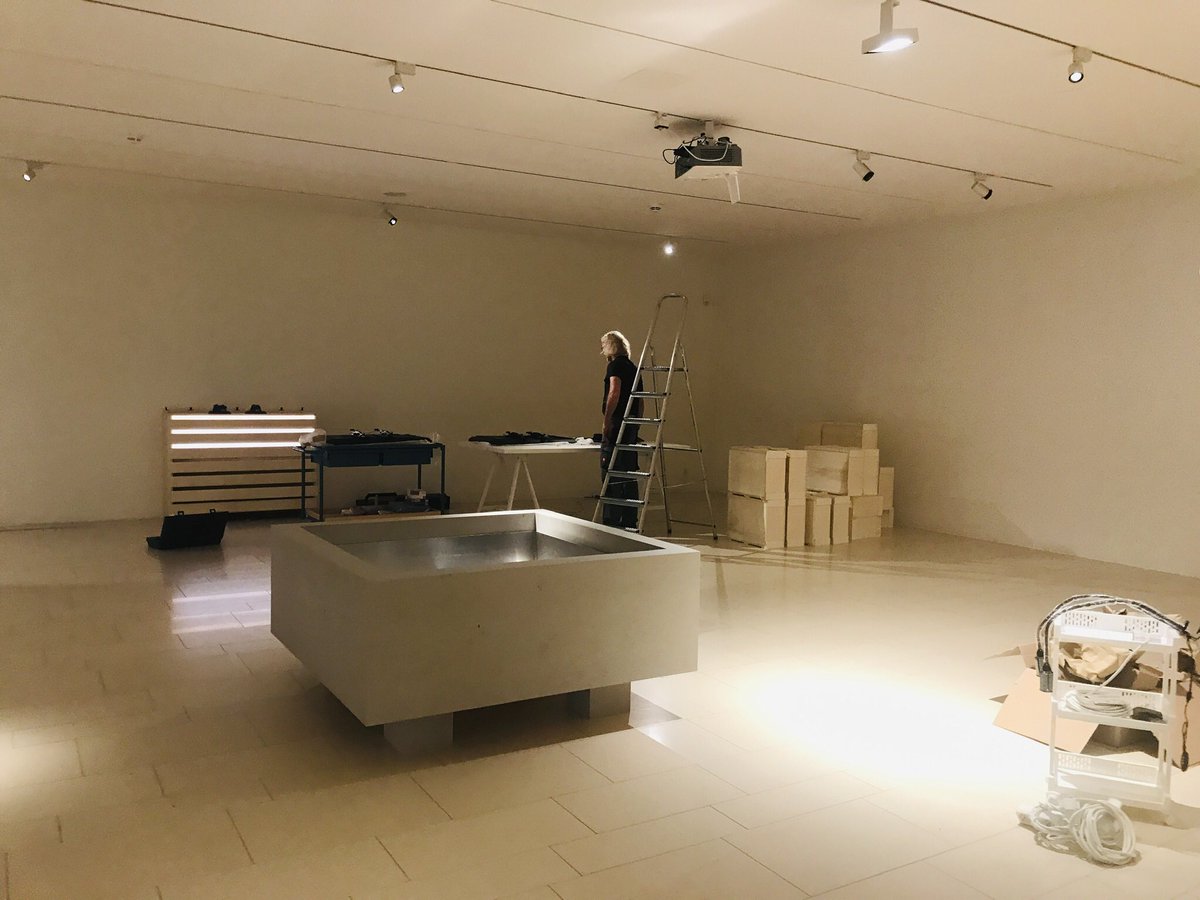 Daniela F Eisenstein tweet media