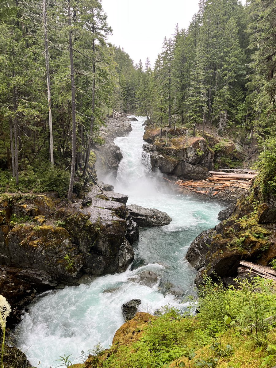 Shadiab12's tweet photo. Silver Falls today @MountRainierNPS https://t.co/aIeUUeRc2t