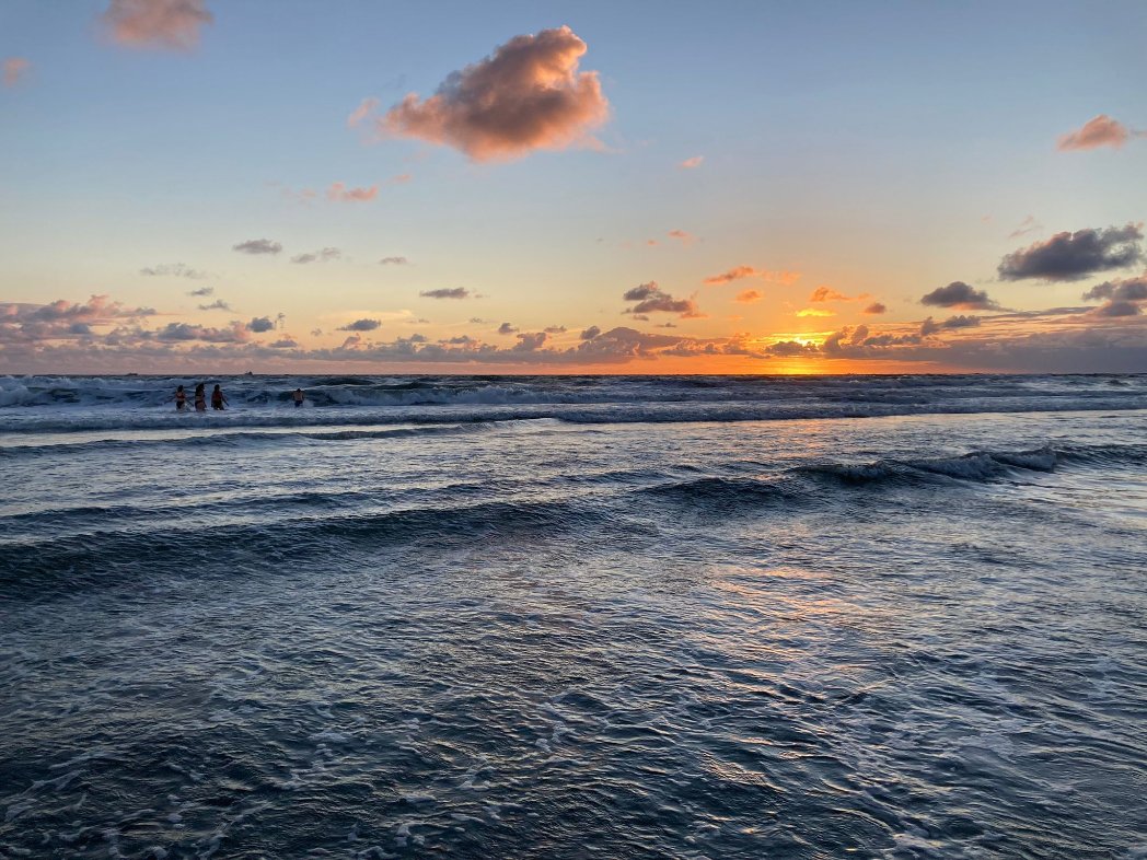 <a href="/FieldARTS_/">FieldARTS</a> day 3 of field methods: marine lab, ocean, mud flats, ship yards, sand dunes.