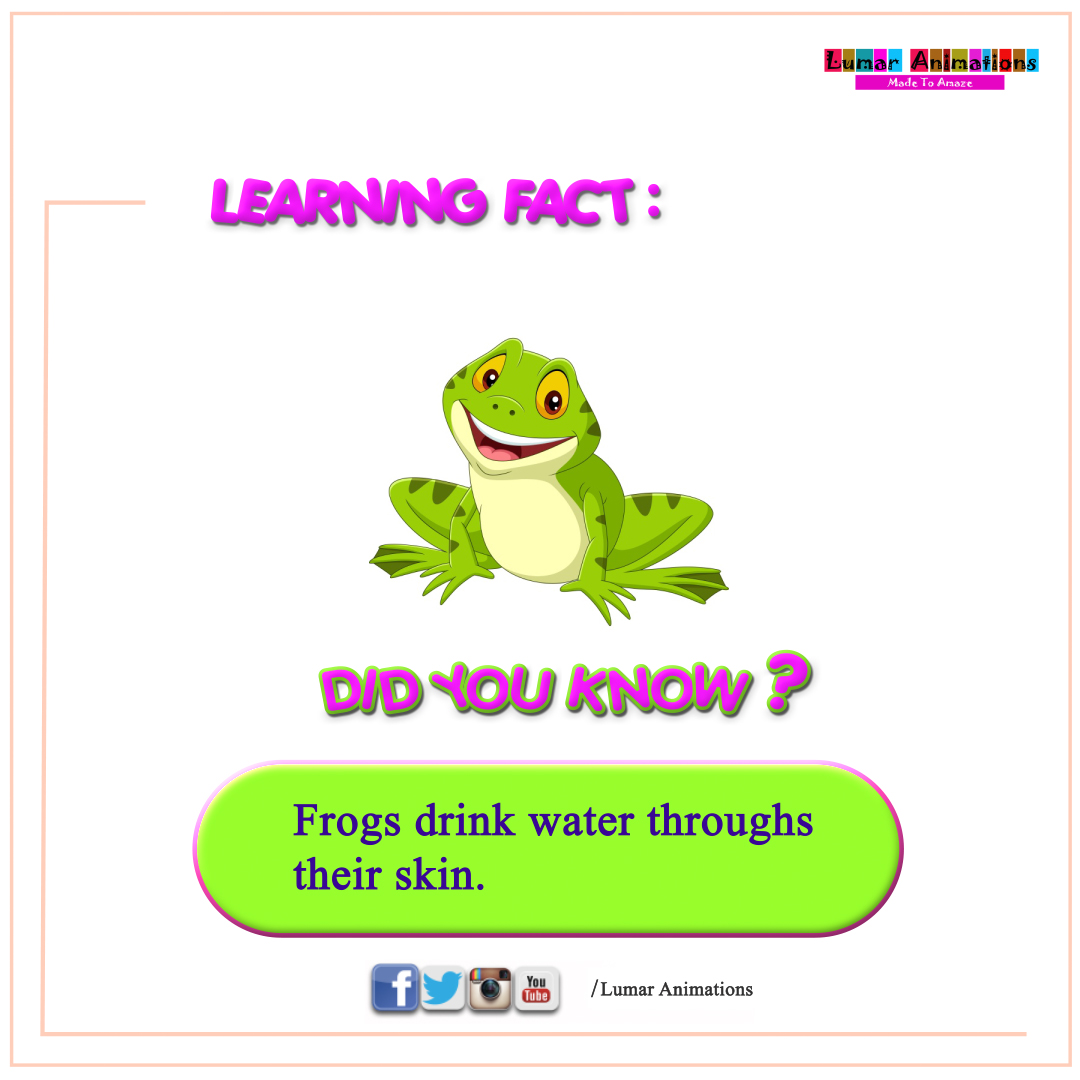 lumarlearning's tweet photo. Fun learning fact:  Did you know frogs drink water through their skin?🤔
Subscribe to our learning channel 👉https://t.co/CRZUfBZTes

#learningfact #lumarlearning #elearning #ECD  #parentingtips #kidsbooks #homeschooling  #numberfacts https://t.co/jFkRSDmqq5