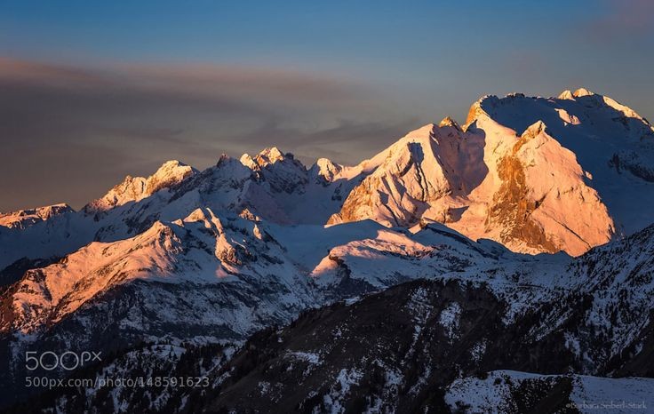 Flavia Miatto tweet media