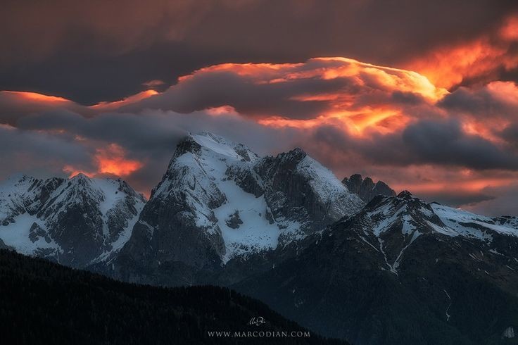 Flavia Miatto tweet media