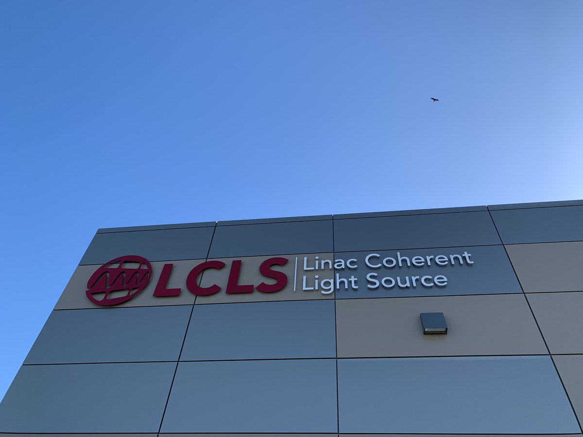 Michael Sachs tweet media