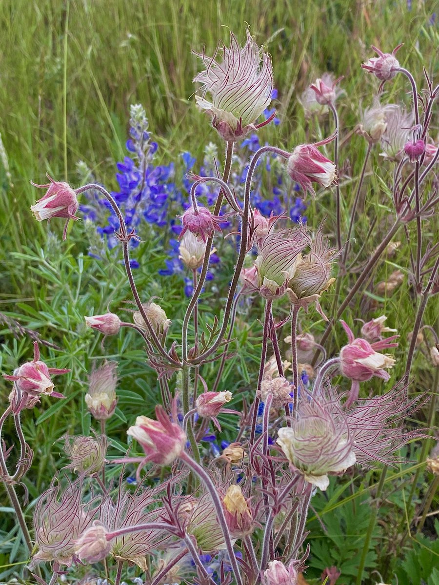 Mark LaLonde tweet media