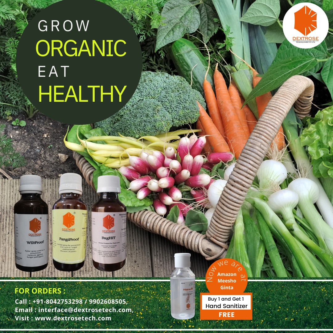 Aravind39758402's tweet image. Now protect your greens from root-knot nematodes and fungal diseases like anthracnose, black spot, soft rot, mildews, etc. Use WiltProof, BigHit, and FungiProof from Dextrose.

#dextrosetechnologies #pesticidetesting #fooodtesting #foliarspray #fungalwilt  #organic