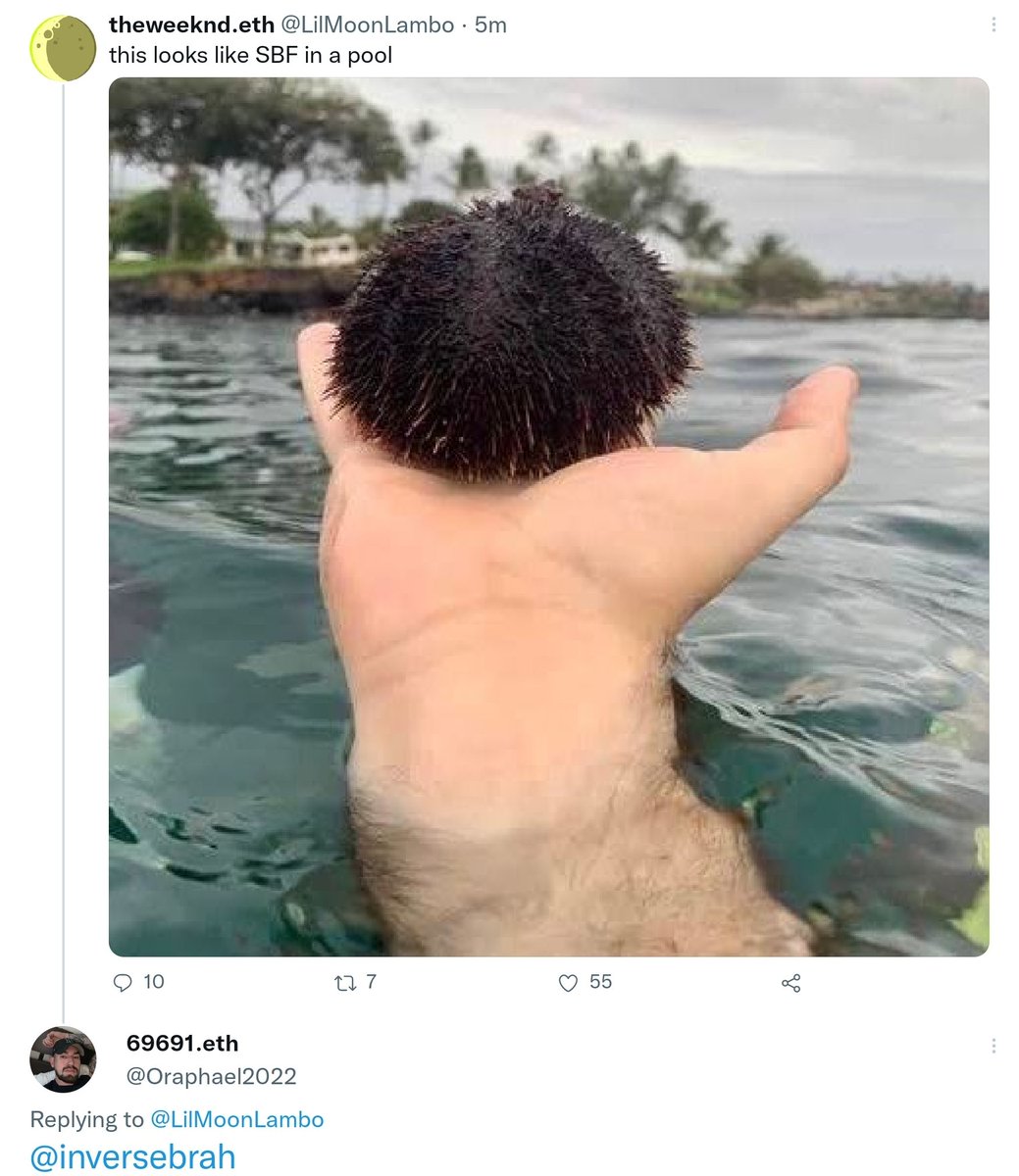 smolting (wassie, verse) tweet media