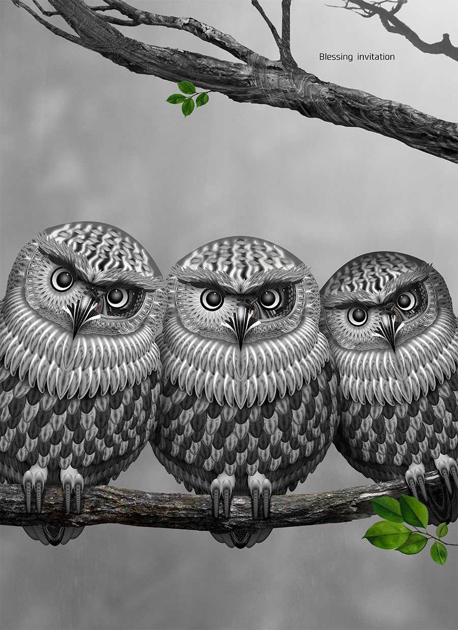 フクロウイラスト Twitter Search Twitter