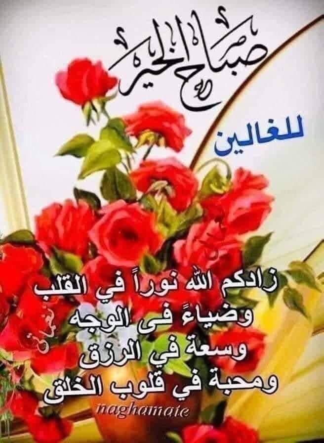 صباحكم معطر  بذكر الله 
صباحكم مشرق بكثير من الاحلأم والأماني وقلــــوبكم بالحب دافئة
ووجــوهكم بالإبتسامات مضيــــئة ومشرقة
صباحكم ورد وسعادة لا منتهى له