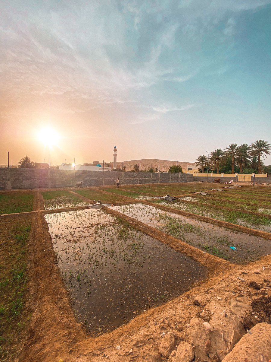 صباح الجمال 😍✨