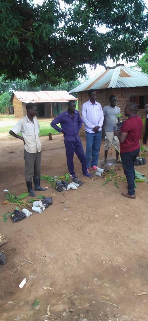 NAROBanana's tweet photo. Distribution of elite banana varieties (M30, M27 and FHIA17) in Northern Uganda region ( Gulu, Nwoya, Lira and Oyam) under the FTF agricultural activity to strengthen seed system for commercial banana production. https://t.co/KceEC0P6tf