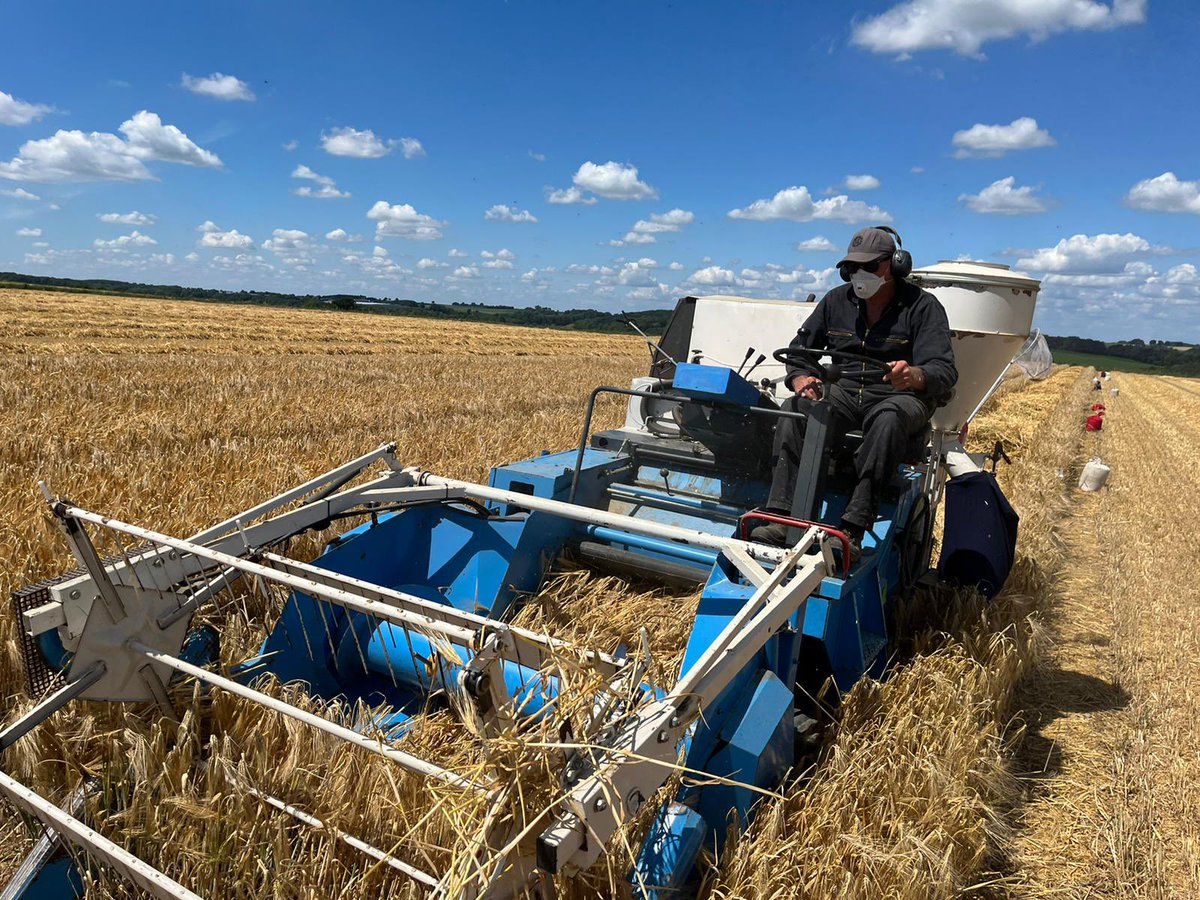 Jeffrey Mul tweet media