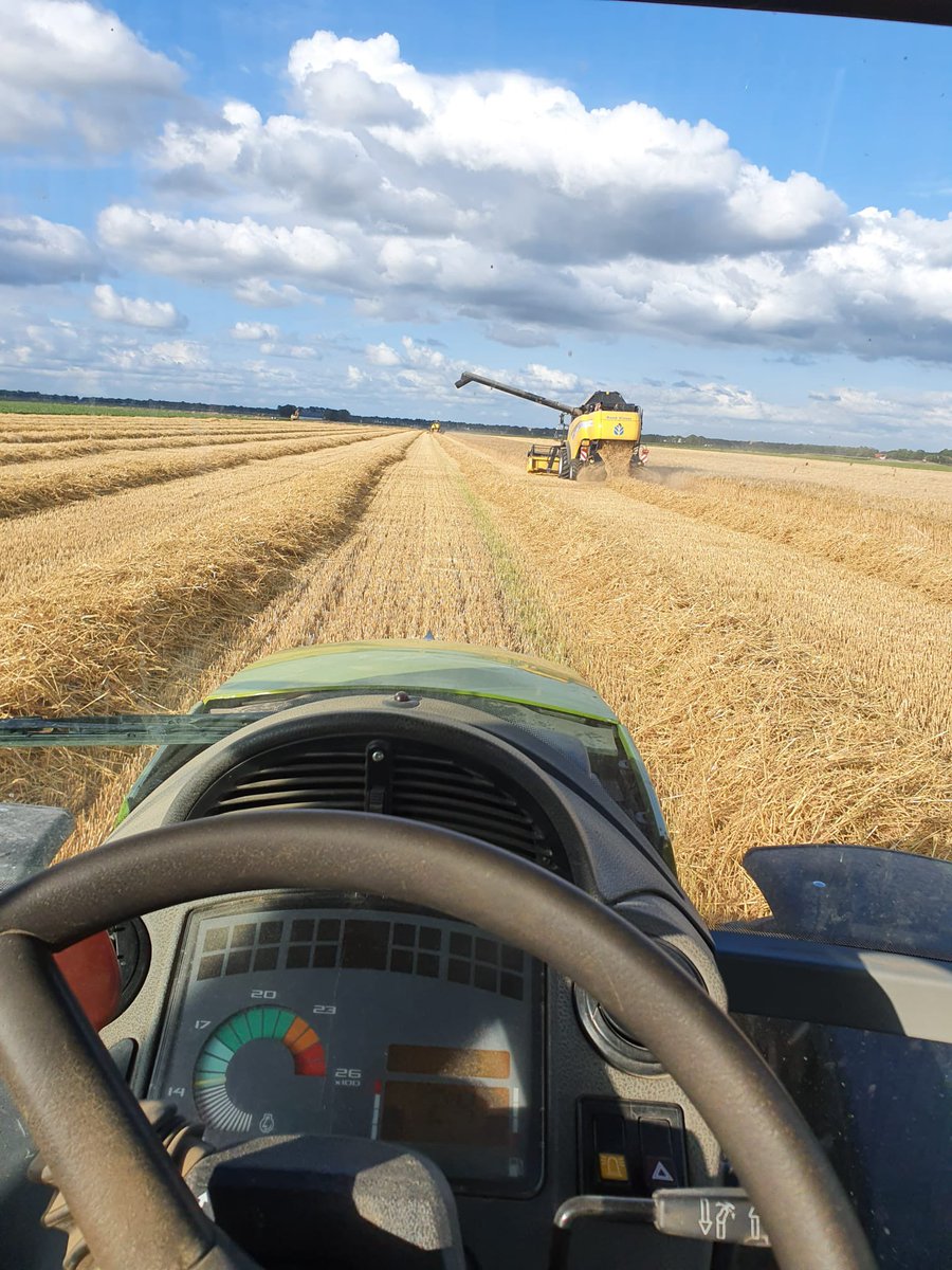 Jeffrey Mul tweet media