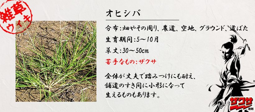 ザクサ液剤 公式 Zaxaekizai Twitter ザクサ液剤 公式 Zaxaekizai Twitter