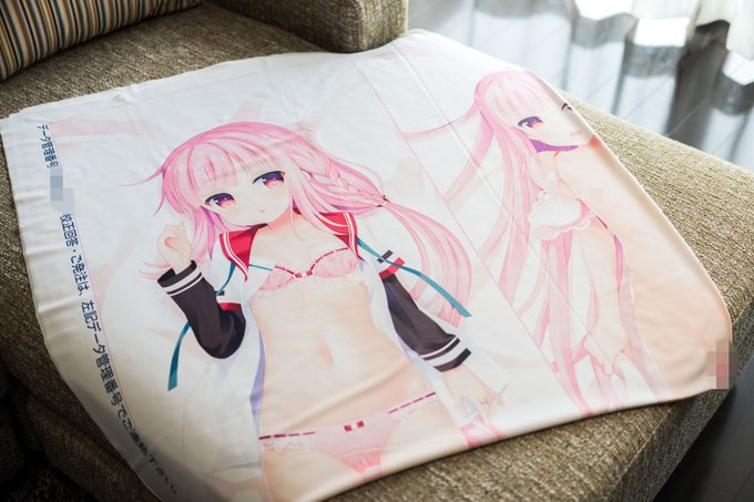 いろはちゃん抱き枕カバーの色校が届いたー。
夏コミで発行予定です。
#京章_絵 