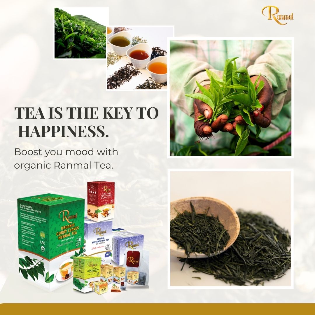 Ranmal Tea picks the best organic Ceylon Teas that give you relaxation and enhance your mood. Drink a hot cup of Ranmal organic tea to have a relaxing effect on your mind.#organictea #australiatea #newsouthwalesaustralia #australia #teatime #tealovers