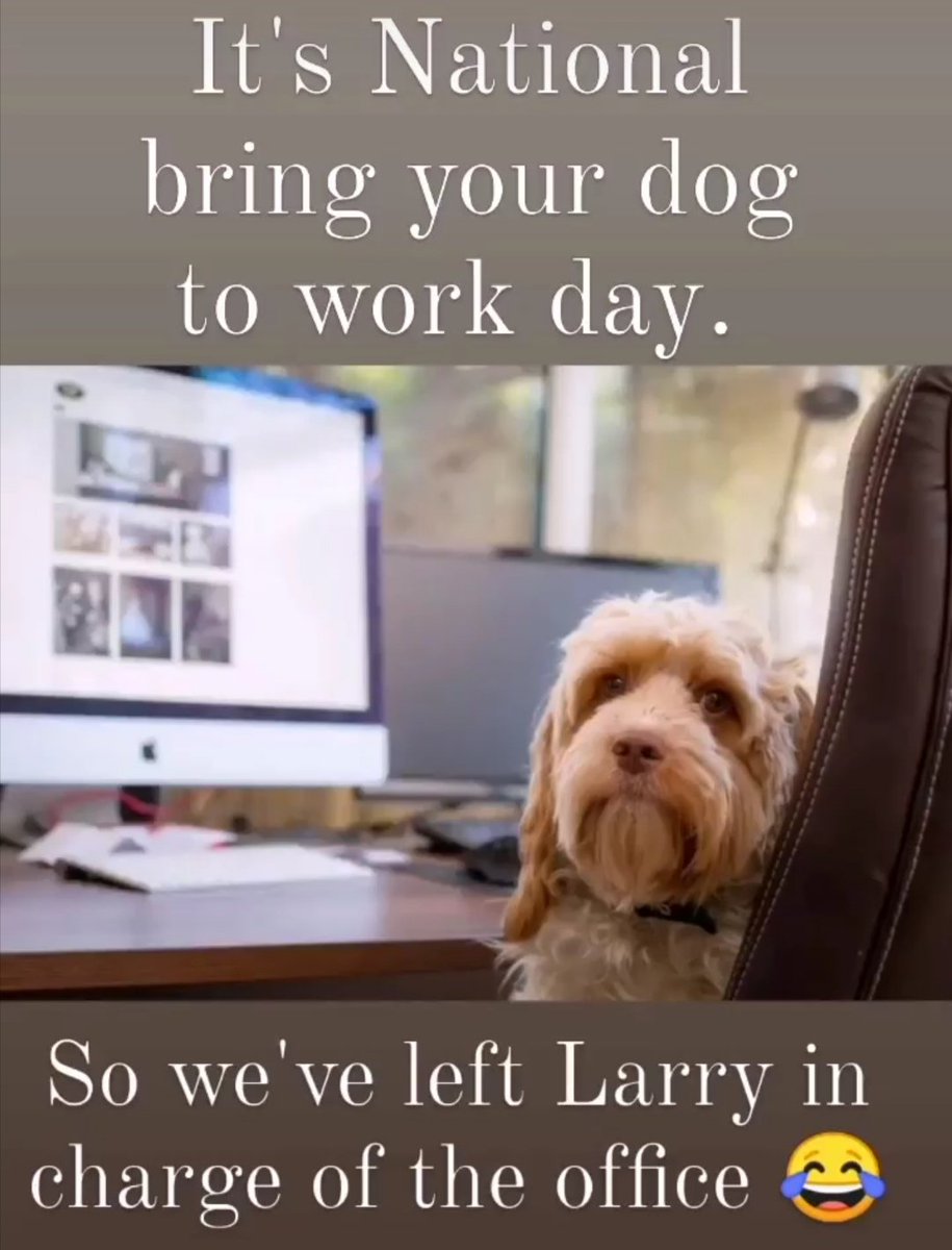 #TheOffice #office #BringYourDogToWorkDay #FridayFeeling
<a href="/rickygervais/">Ricky Gervais</a> 😅