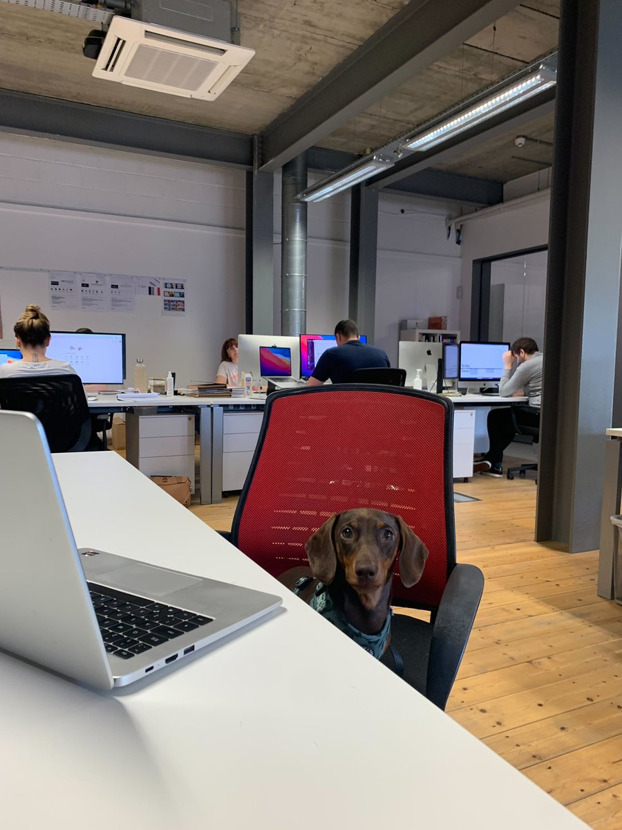 bryan_topham's tweet photo. Today is National bring your dog to work day… If you’d like a bespoke pet portrait send me a DM for more details https://t.co/P6XhjxUxVJ