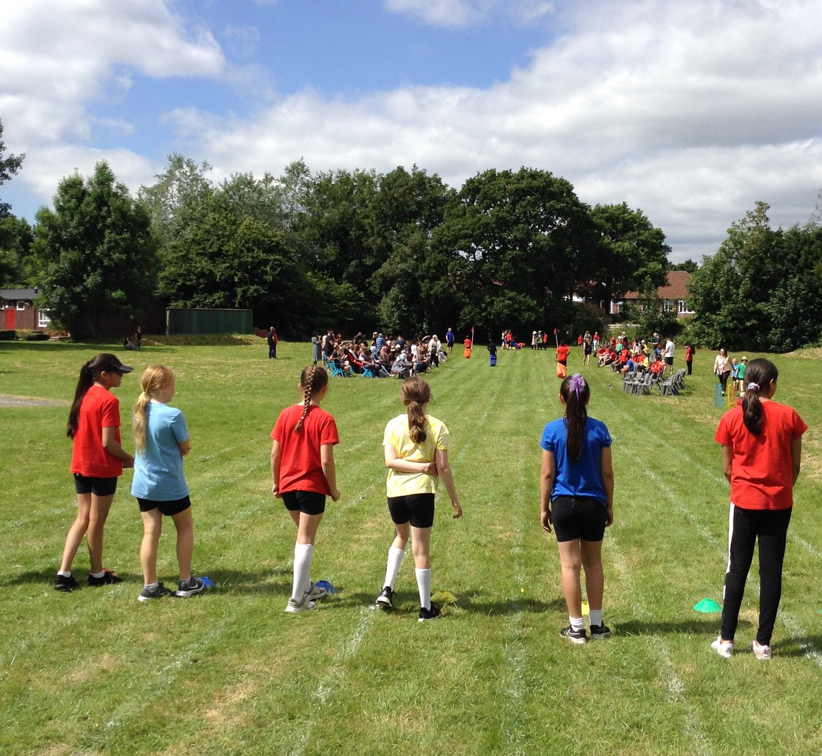 Prospect Vale Primary School tweet media