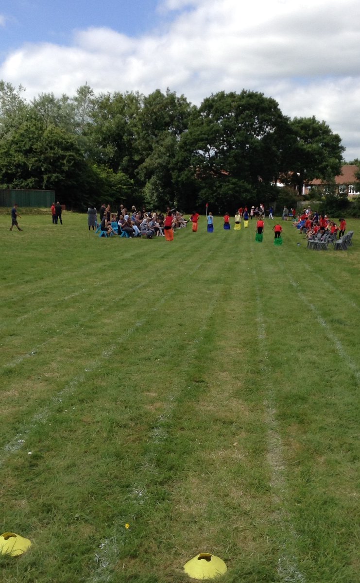 Prospect Vale Primary School tweet media