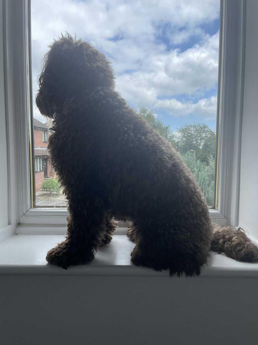 And our receptionist for the day keeps an eyeful watch for any visitors to the office!